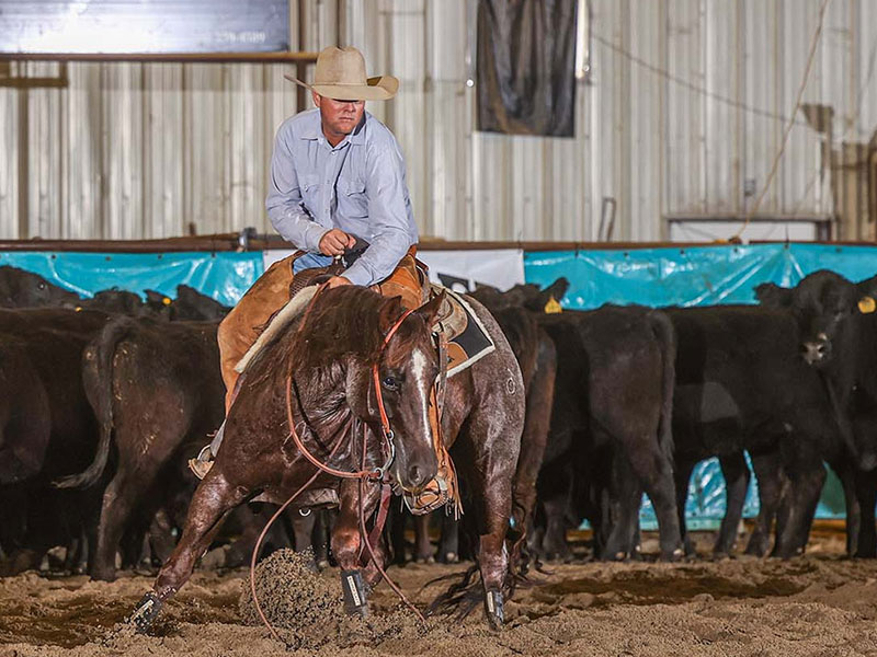 Fort Ranch Stylish Von photo